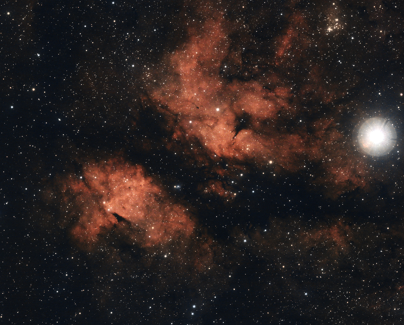 ic1318 seen using Celestron RASA 8 and ZWO ASI183MC