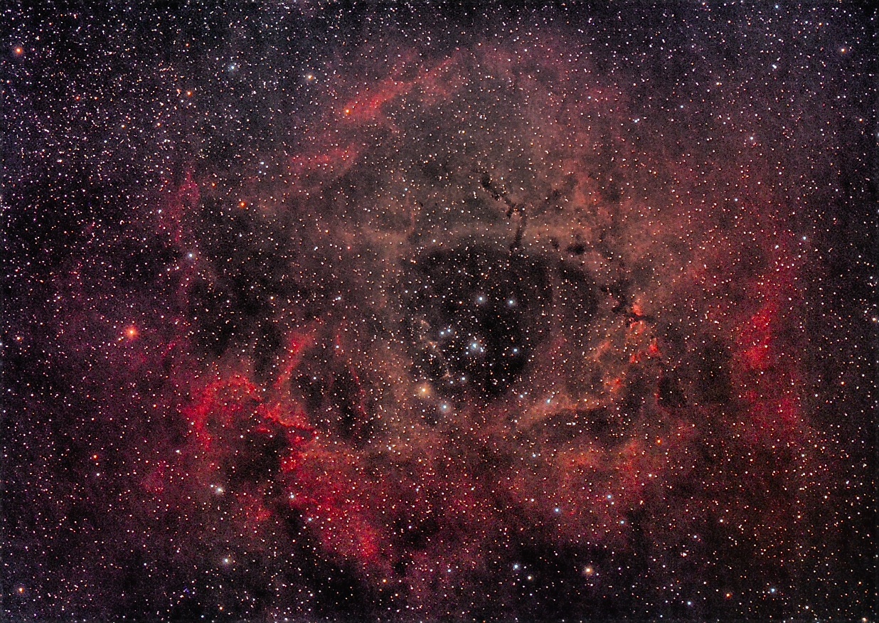 ngc2237 seen using Celestron RASA 8 and ZWO ASI183MC