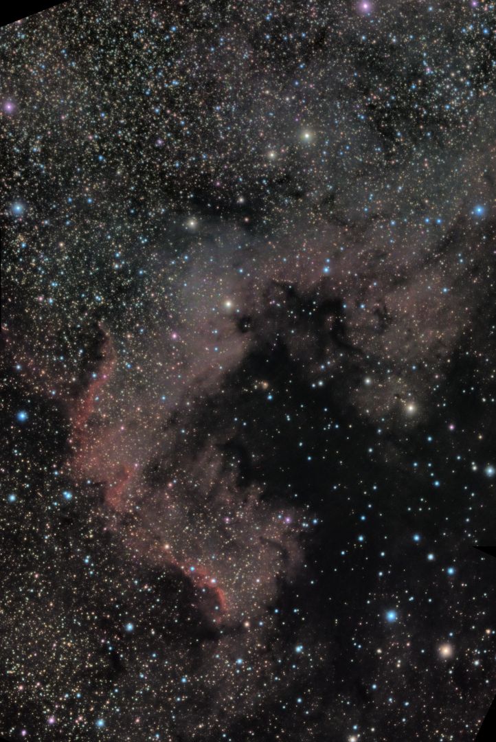 ngc7000 seen using Celestron RASA 8 and ZWO ASI183MC