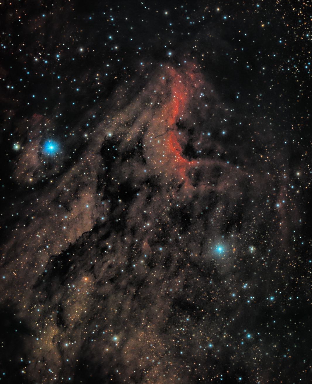 ic5070 seen using Celestron RASA 8 and ZWO ASI183MC