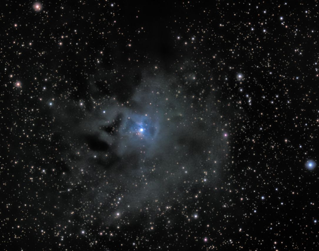 ngc7023 seen using Celestron RASA 8 and ZWO ASI183MC